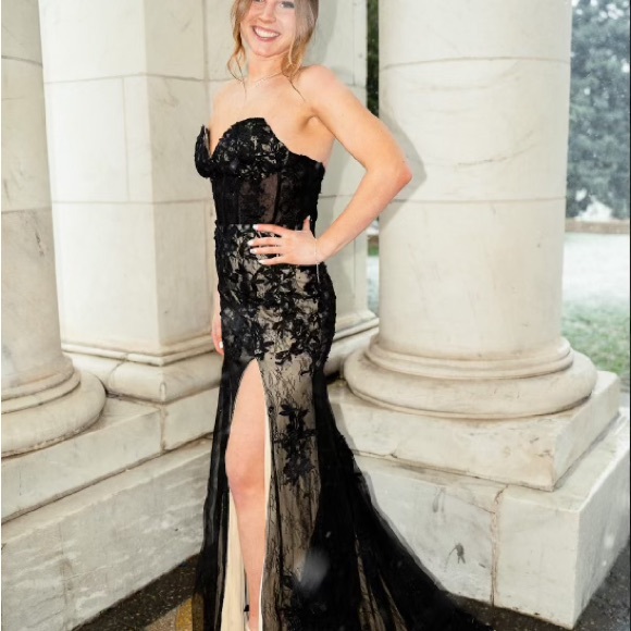 Meet your Posher, Scottie - Picture 4 of 9